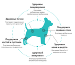 GRANDORF FRESH Свежее мясо ягненка с бататом для собак мелких пород