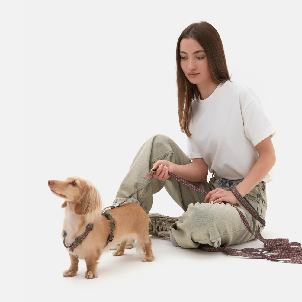 Настраиваемый поводок Jungle mini