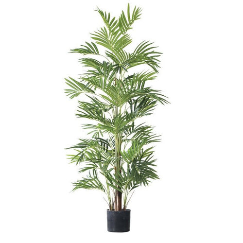 Пальма Арека 158 см.