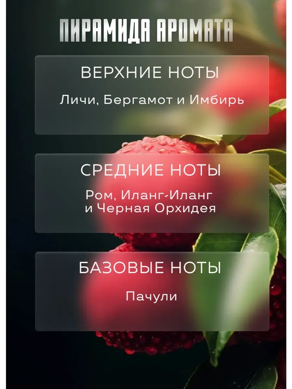 Отдушка для свечей парфюмерная Attrape-Rêves мыла