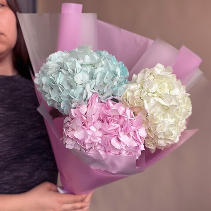 Разноцветные гортензии 3 шт