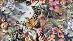 Микровелюр Xpoint 0079.02 Бабочки