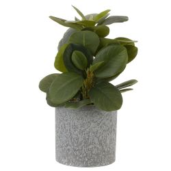 GAEM Цветочная композиция, L10 W10 H25 см