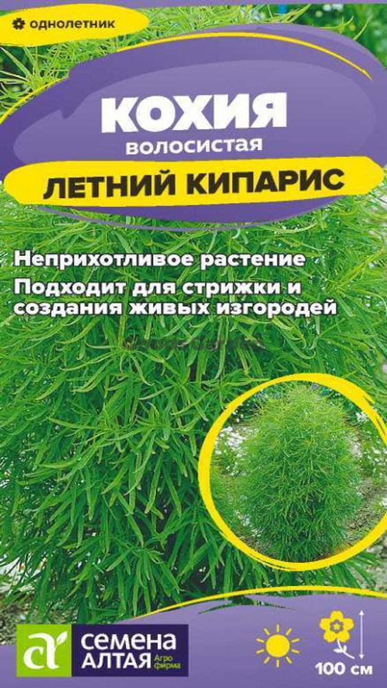 Koxия &quot;Летний Кипарис&quot; 0,2г., Россия.