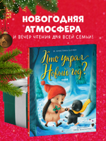 Книжки-картинки. Кто украл Новый год?