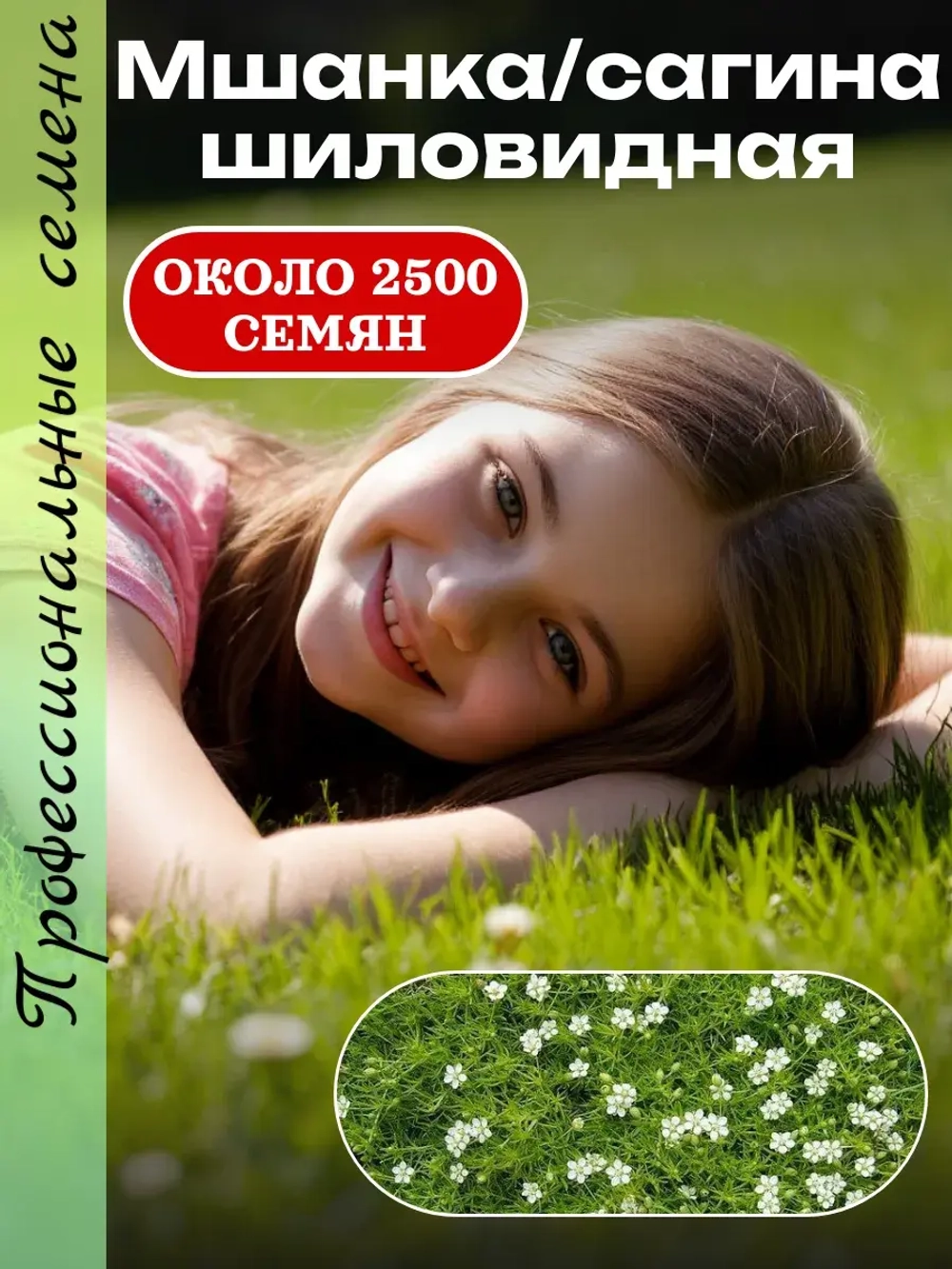 Семена газон Мшанка шиловидная