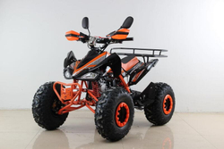 Квадроцикл MOTAX ATV T-Rex Super LUX 50 cc