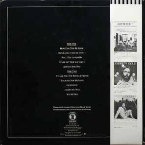 Andrew Gold / All This And Heaven Too (LP)