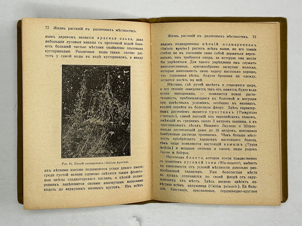 Мигула В. Биология растений. В 2-х томах. Рига, Наука и жизнь, 1915 г.