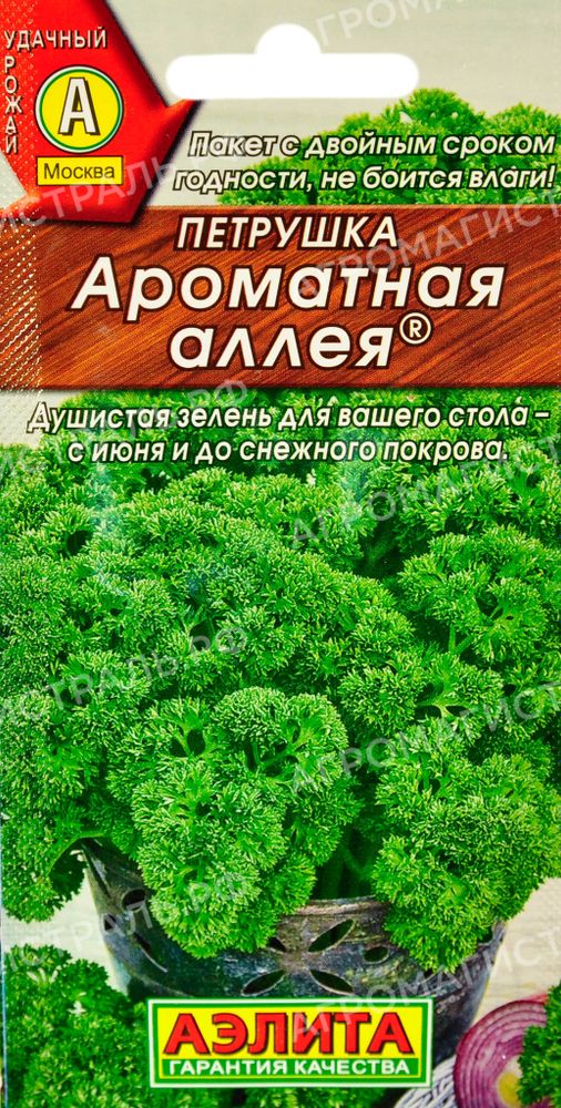 Петрушка Ароматная аллея Аэлита Ц