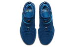 Кроссовки Nike Lebron 14 Agimat