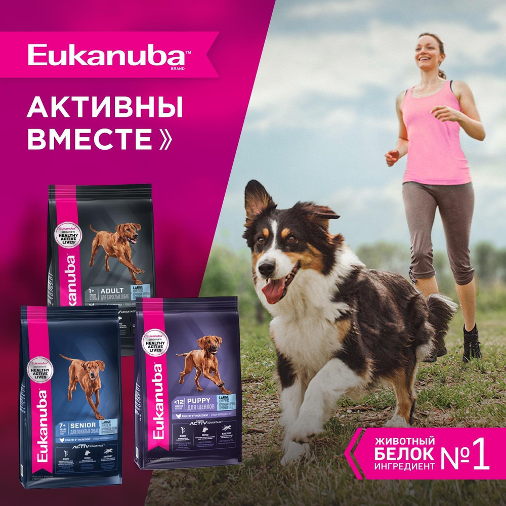 Сухой корм Eukanuba Senior Large Breed 7+ years для пожилых собак крупных и очень крупных пород с курицей 15 кг