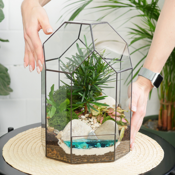 Готовый флорариум бонсай Подокарпус Бонсариум с озером