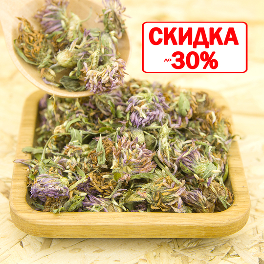 Клевер красный (трава, цвет)