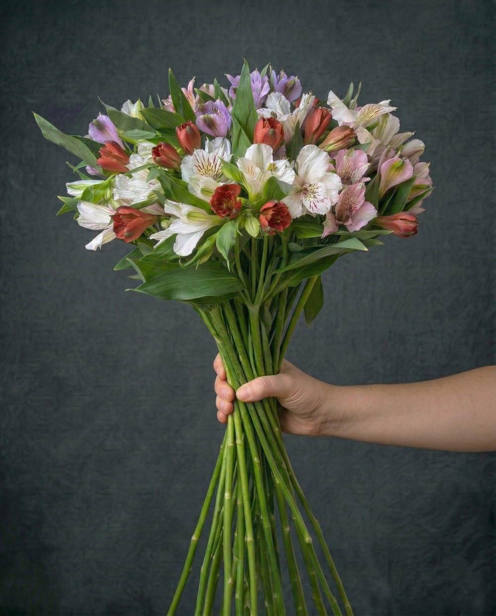 Альстромерии импортные