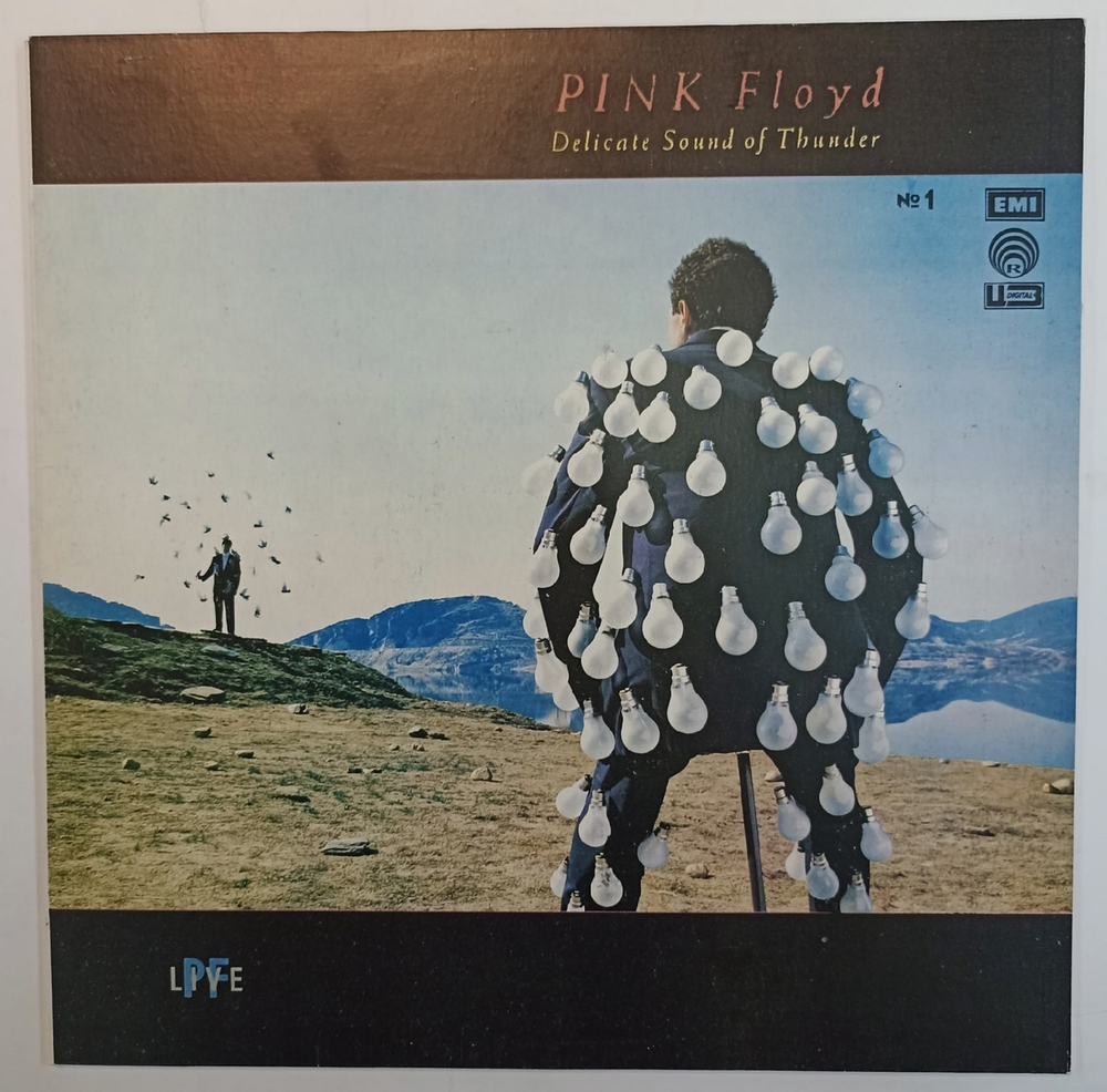 Pink Floyd Delicate Sound Of Thunder