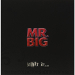 Mr. Big / What If… (Deluxe Edition)(LP+CD+DVD)