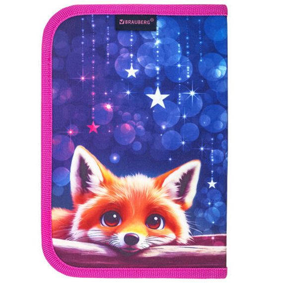 Penal \ Pencil case\ Пенал BRAUBERG, 1 отделение, 2 откидные планки, 21х14 см, 272318