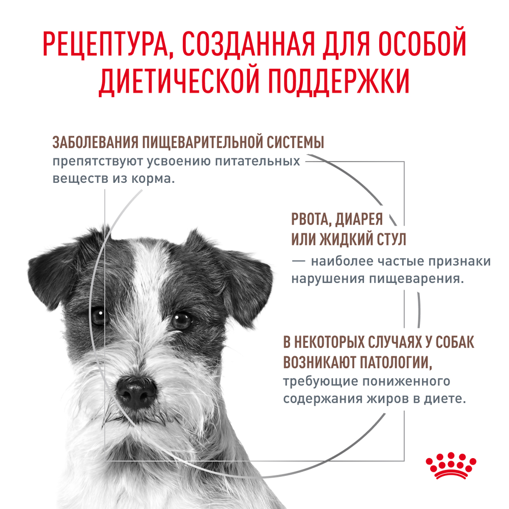 Royal Canin Gastrointestinal Low Fat Small Dogs Гастроинтестинал Лоу Фэт смол дог Корм сухой для взрослых собак мелких пород при нарушениях ЖКТ 1 кг