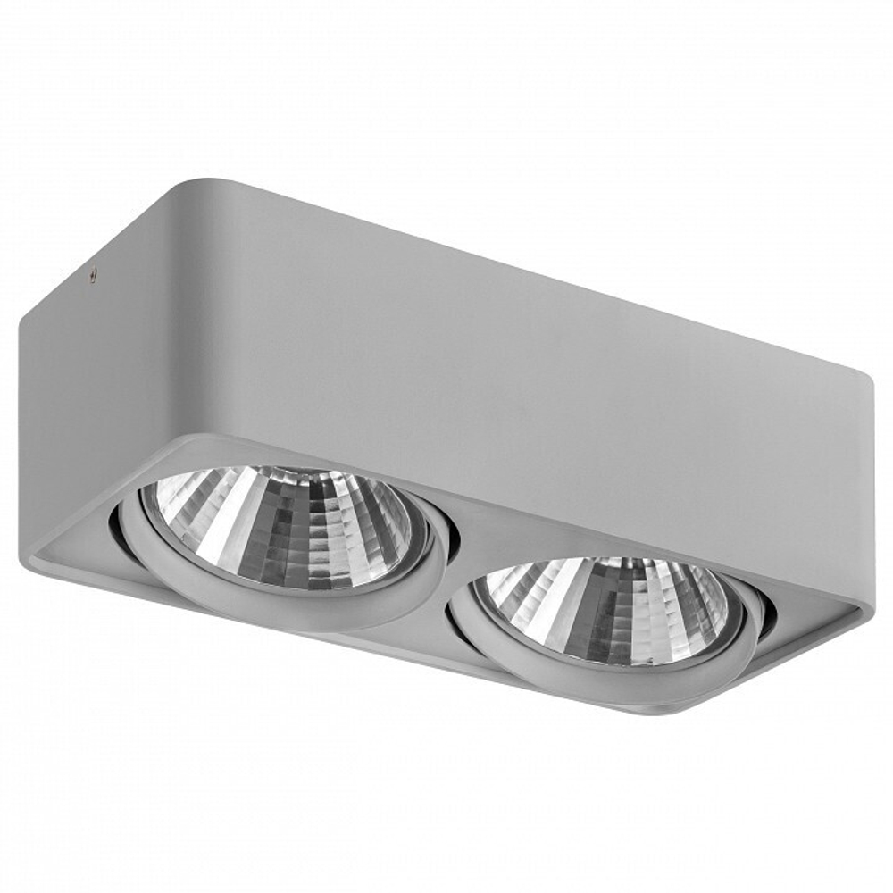 Накладной светильник Lightstar Monocco 212629