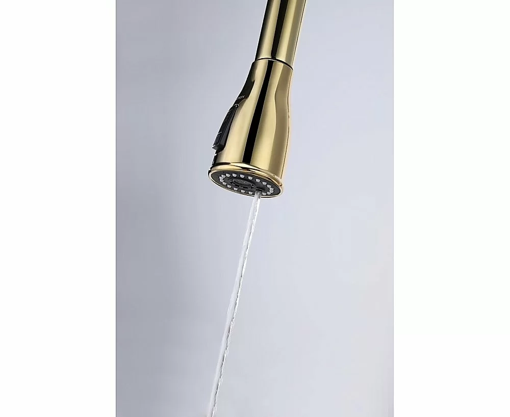 Смеситель для кухни Paulmark Lange La214212-G золото