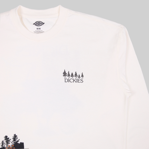 Лонгслив мужской Dickies Kenbridge Tee артикул:DK0A4YVRC581 - купить в магазине Дайс