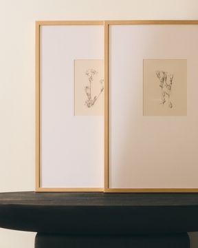 Картина Lirena с ботанической иллюстрацией 50 x 70 см