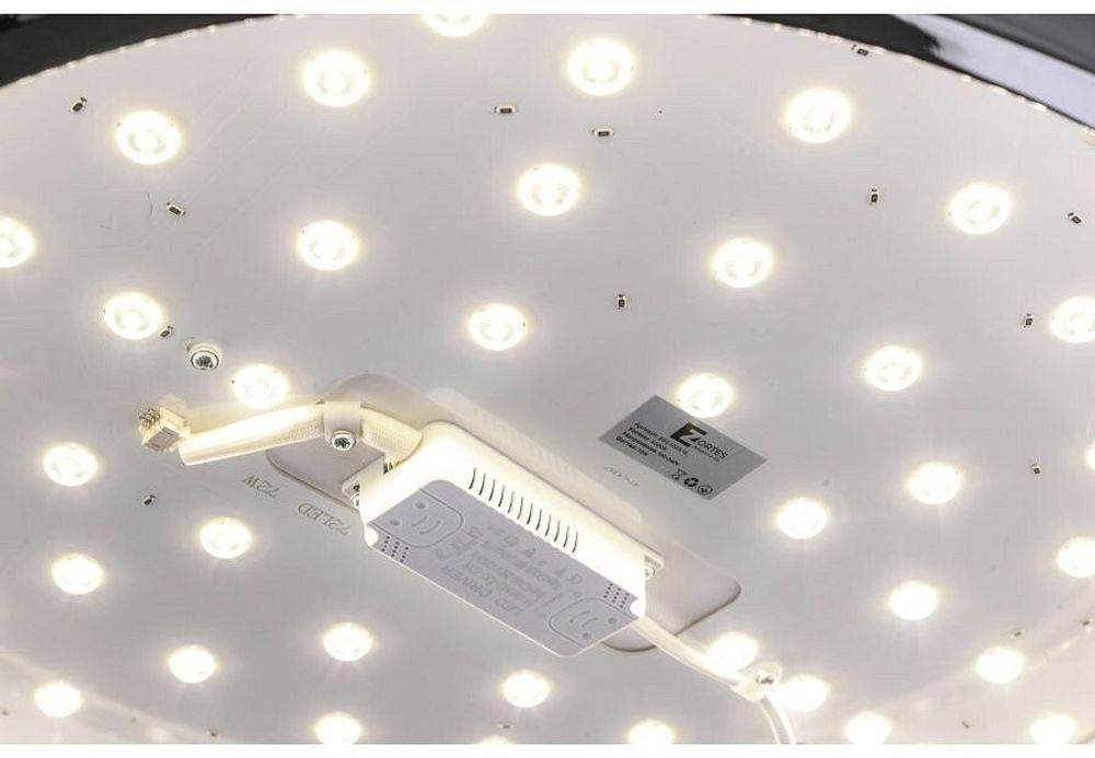 Накладной светильник Zortes Gimpel ZRS.1209.15