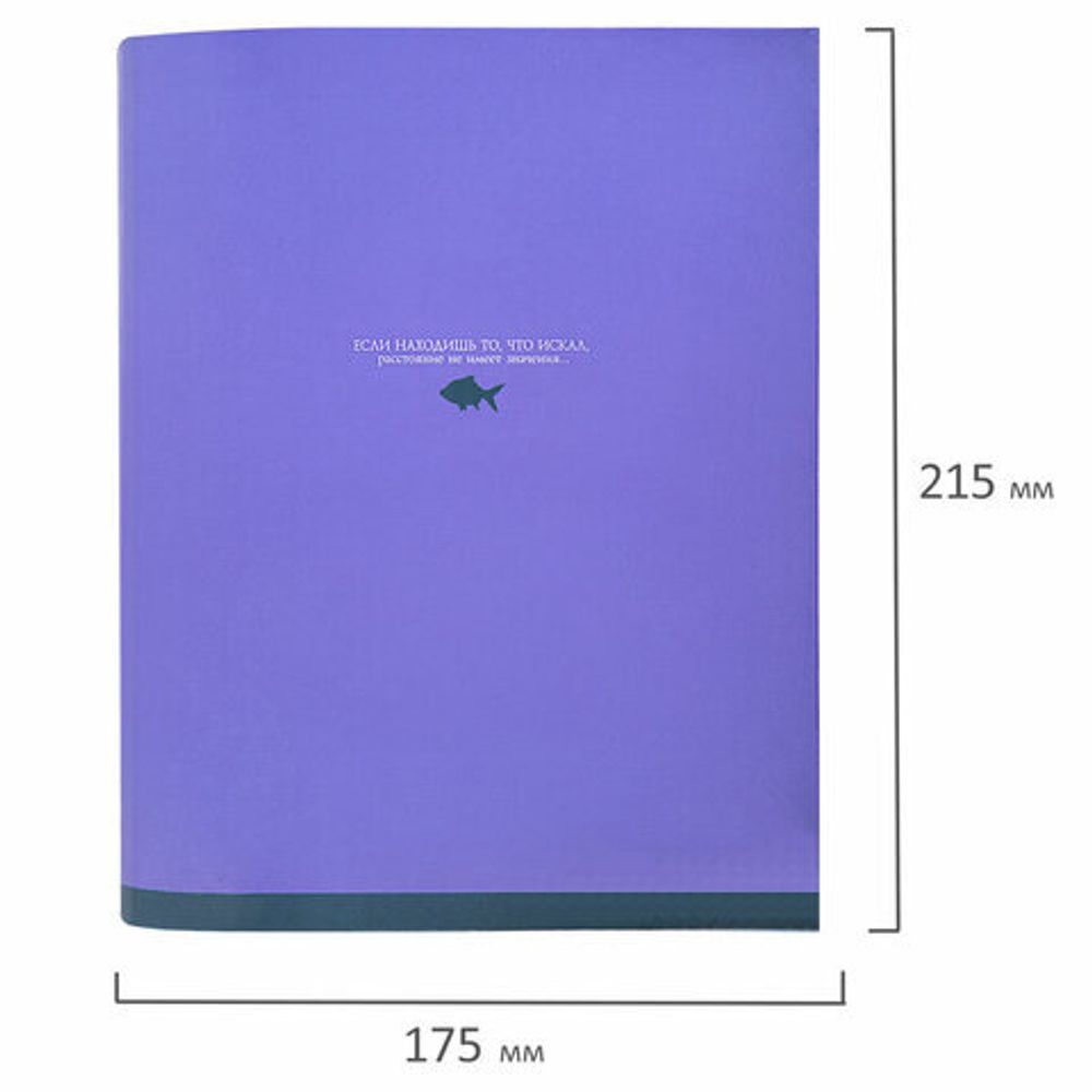 Тетрадь на кольцах А5 175х215 мм, 120 листов, твердый картон, клетка, BRAUBERG, "Monocolor", 404716