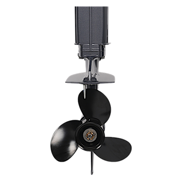 Лодочный мотор ALLFA CG T30FWS