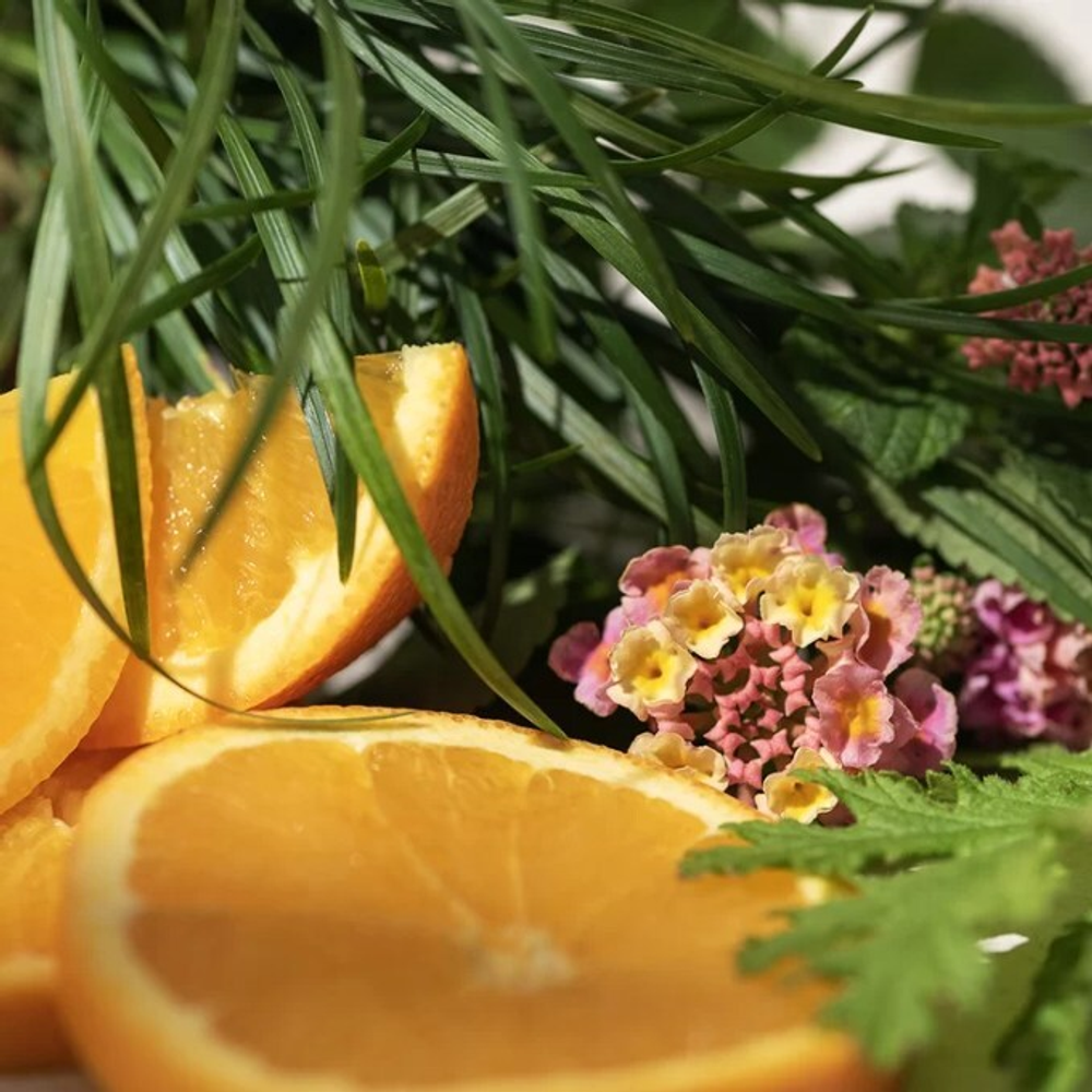 Отдушка CS - Лемонграсс Вербена Цитронелла (Lemongrass and Verbena Citronella)