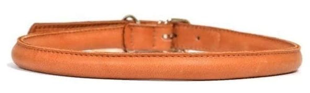 Ошейник "CoLLaR Soft" для длинношерстных собак (ширина 14мм, длина34-42см) коричневый Ошейник "CoLLaR Soft" для длинношерстных собак (ширина 14мм, длина34-42см) коричневый