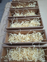 Короб винный деревянный серия "АКРИЛ" №1, на 1 бутылку, коричневый цвет