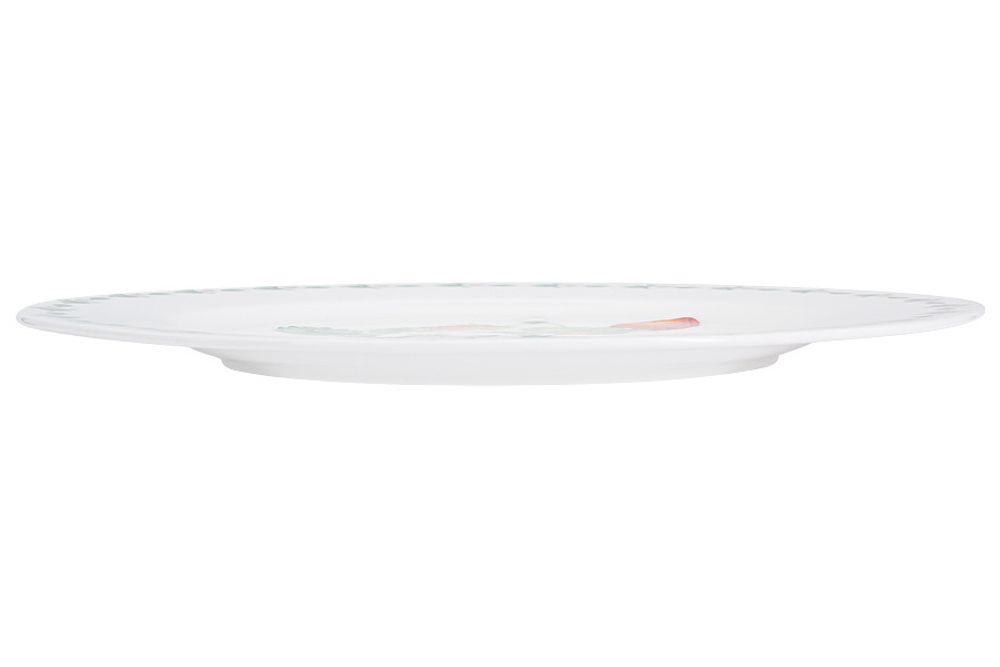 Обеденная тарелка из костяного фарфора AL-2010S-E11, 27 см, белый/декор
