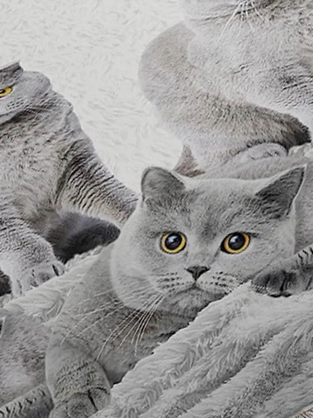 Постельное белье 1.5 Британцы СОНиЯ /1,5 взрослое детское