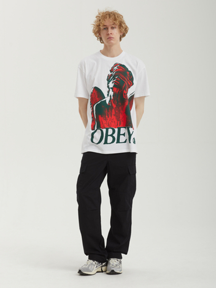 Мужская Футболка Obey Blindfold