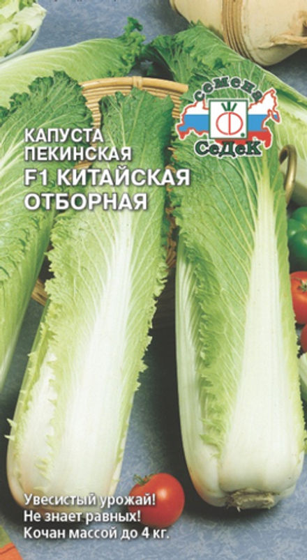 Капуста пекин. Китайская отборная Седек