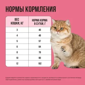 Сухой корм BOWL WOW для стерилизованных кошек с ягненком, курицей и клюквой
