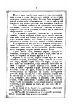 Голубиный охотник | Пальцев Василий Михайлович