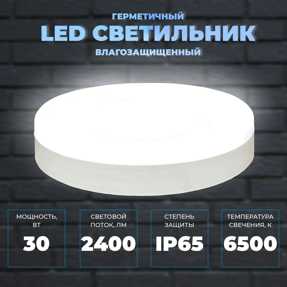 Светильник герметичный настенно-потолочный. Сверхяркий КРУГ 30Вт, со степенью защиты IP65. Размер 220х50. Холодный белый свет 6500К
