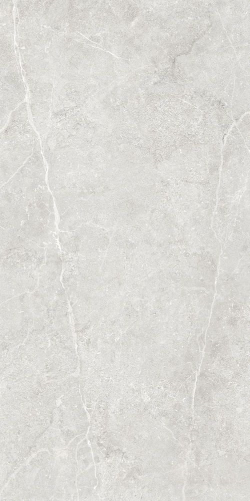 Керамогранит Ideal GT1206020506LGR светло-серый 60x120