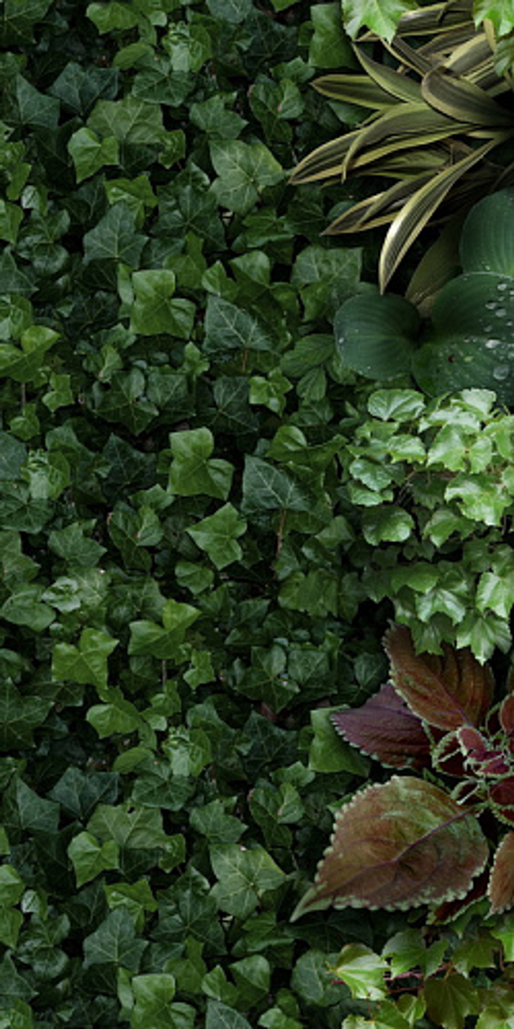 Декоративные элементы 41zero42 PAPER41 PRO JANE A 50х110