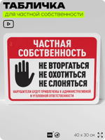 Табличка для частной территории "Частная собственность", на дом, для участка, организаций, предупреждающая, 40х30 см, Silver Plane x Айдентика Технолоджи