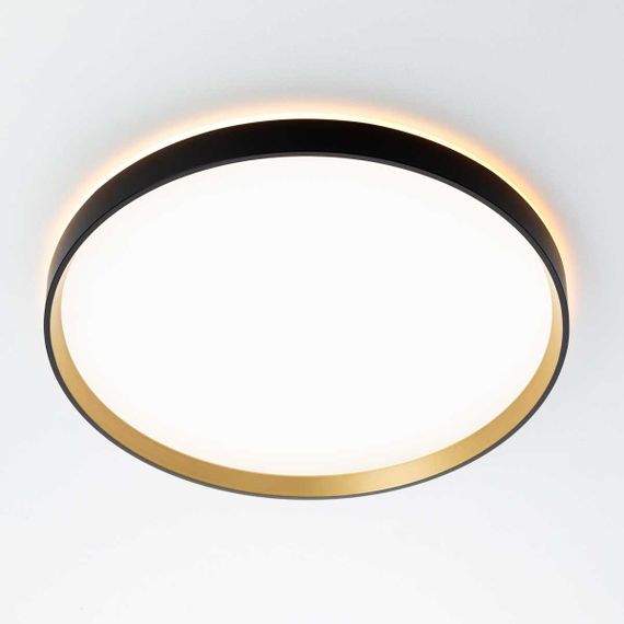 Потолочный светильник Citilux ETALON CL750401R