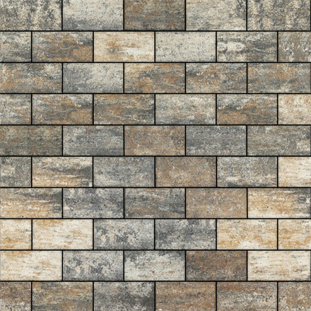 Тротуарная плитка ПРЯМОУГОЛЬНИК Б.2.П.8 200x100 мм Листопад гладкий Песчаник