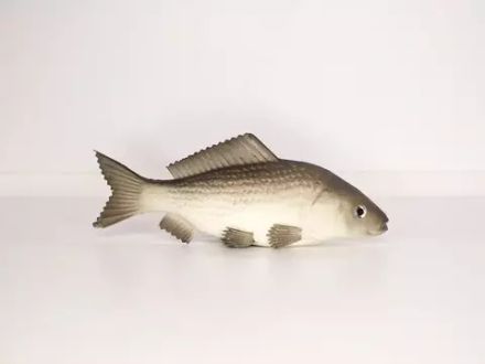 Муляж "Рыба карась" 6х20 см 2337044 Сима-Ленд