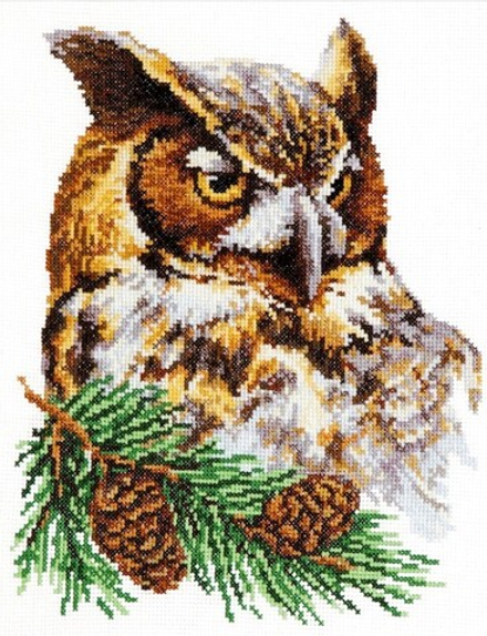 Набор для вышивания "Филин", 22 х 27 см (Россия)