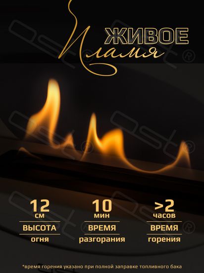 Биокамин овальный малый "Ellipse"