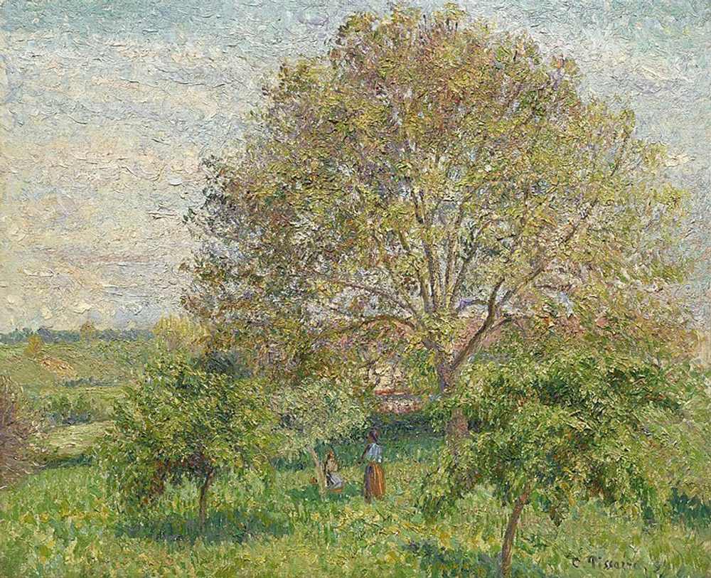 Orehovoj derevo vesnoj. Erani, Pissarro K., kartina dlya interera (reprodukciya) stene.ru