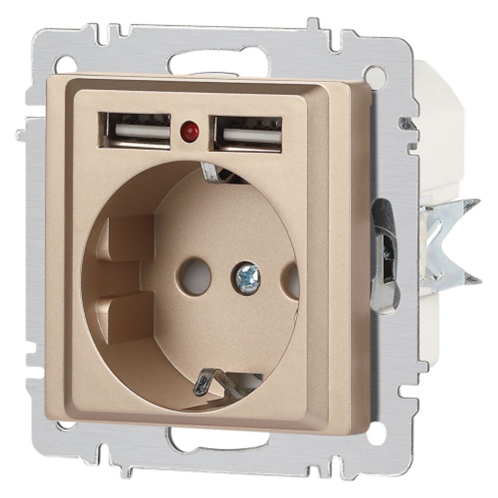 Розетка Intro Accent 6-410-04 с заземлением 2P+E Schuko со шторками 16А-250В + 2хUSB IP20 СУ шампань